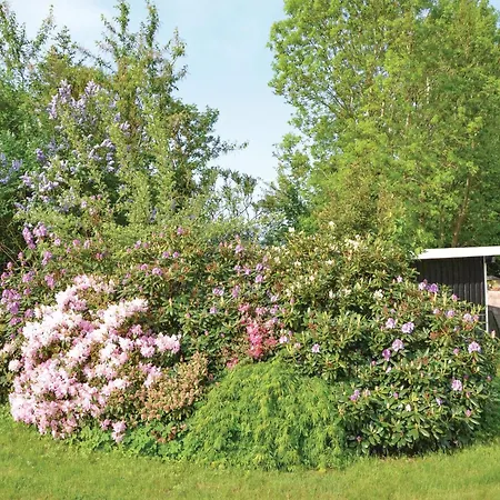 With Fireplace Iii Vakantiehuis Jægerspris